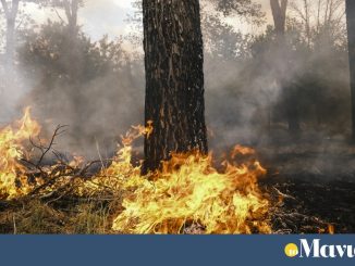 Φλέγεται η Σιβηρία: 31 δασικές πυρκαγιές – Απομακρύνονται παιδιά από κατασκηνώσεις