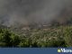 Οδηγίες της ΕΛΑΣ προς πολίτες: Μην επιστρέφετε σε περιοχές που έχουν καεί