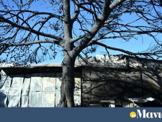 Συνεχίζονται οι αυτοψίες της Περιφέρειας Αττικής στις πυρόπληκτες επιχειρήσεις