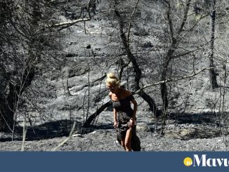 Τα τελευταία οκτώ χρόνια έχει καεί το 37% των δασών της Αττικής σύμφωνα με το meteo