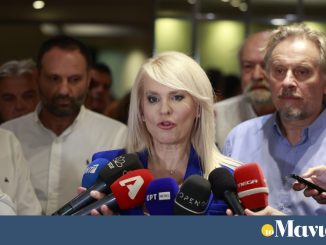 Θεοδώρα Τζάκρη για πλατφόρμα Κασσελάκη: Με ταχυδρομικό περιστέρι θα επικοινωνήσει με τους υποστηρικτές του;