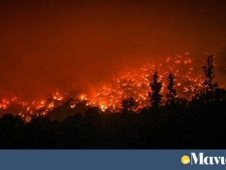 Πυροσβεστική: 46 οι αγροτοδασικές πυρκαγιές το τελευταίο εικοσιτετράωρο σε όλη την χώρα