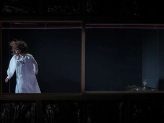 Κατερίνα Παπουτσάκη και Γιάννης Παπαδόπουλος στον “Φόβο” του Στέφαν Τσβάιχ 