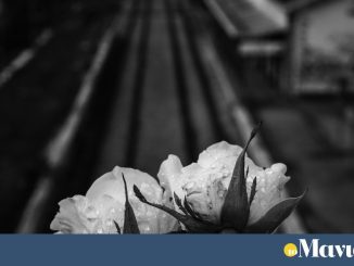 Τέμπη: βίντεο από τη δικογραφία δείχνει την πορεία του εμπορικού τρένου λίγα λεπτά πριν από τη σύγκρουση