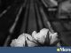 Τέμπη: βίντεο από τη δικογραφία δείχνει την πορεία του εμπορικού τρένου λίγα λεπτά πριν από τη σύγκρουση