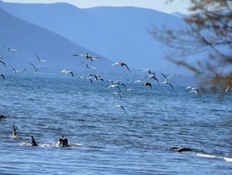 Αίθριος με τοπικές νεφώσεις και άνοδο θερμοκρασίας ο καιρός την Κυριακή