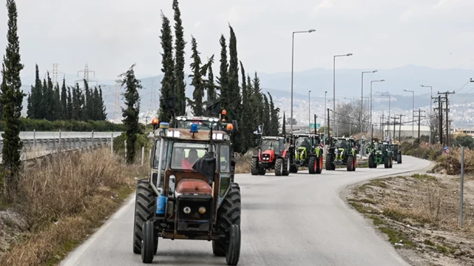 agrotes4-2.webp.webp