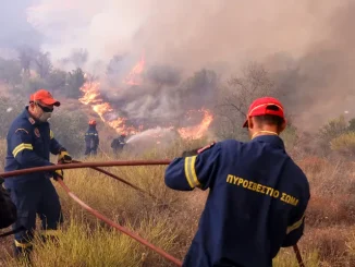 Φωτιά σε δασική έκταση στην Λακωνία