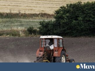 Στο ΦΕΚ νέο πακέτο de minimis – Ποιες καλλιέργειες αφορά και τα ποσά ενίσχυσης