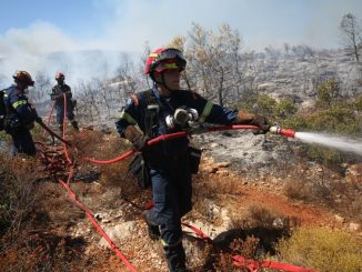 Πυρκαγιά σε δασική έκταση στη Σάμο