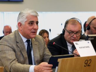 Κομβικές παρεμβάσεις Δ. Καφαντάρη για τα Δ. Βαλκάνια στην Επιτροπή Περιφερειών