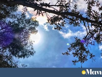 Ζέστη, αφρικανική σκόνη και ομίχλη – Η πρόγωνση Μαρουσάκη για τις επόμενες μέρες