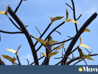 Τέμπη: Έγιναν τα αποκαλυπτήρια του «δέντρου των ψυχών» για τους  57 νεκρούς  [βίντεο & εικόνες]