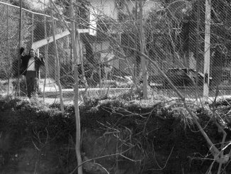 «Δωρεάν χώμα για όλους»: Μια site-specific παράσταση στο M54