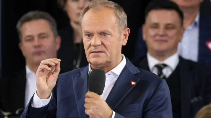 tusk1-1-696x471-1.webp.webp