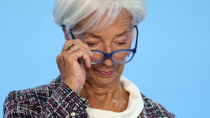29004328.jpg