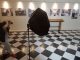 “Portraits en Paysage: πορτρέτα σε προοπτική” στο Ιταλικό Μορφωτικό Ινστιτούτο Αθηνών