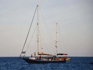 Ο Μακρόν ζητά από το Ισραήλ την άμεση επιστροφή των Γάλλων ακτιβιστών