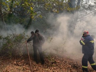 Δασική πυρκαγιά στο Κεφαλοχώρι Σερρών