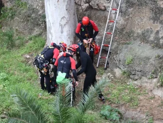Αγωνία για τον άνδρα που έπεσε σε χαράδρα μετά από επίθεση αρκούδας στο δάσος Φρακτού