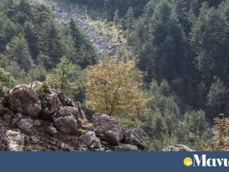 Χαλκιδική: τραγική κατάληξη στην αναζήτηση 75χρονου – Βρέθηκε νεκρός σε χαράδρα