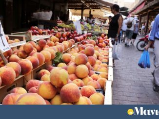 Η κακοκαιρία χτύπησε και τα ροδάκινα Βελβεντό Κοζάνης