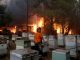 Από αδήλωτα μελίσσια ξεκίνησε η φωτιά στον Υμηττό – Πρόστιμο στους δύο παραβάτες αλλά και στον πρύτανη του ΕΚΠΑ