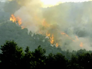 LIVE χάρτες με τις φωτιές που καίνε τώρα στην Ελλάδα