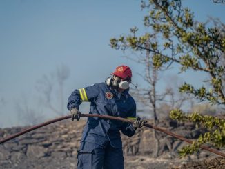 Πυροσβεστική: 43 αγροτοδασικές πυρκαγιές το τελευταίο 24ωρο