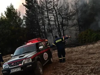 Χωρίς ενεργό μέτωπο η πυρκαγιά στο Λάχι Λακωνίας