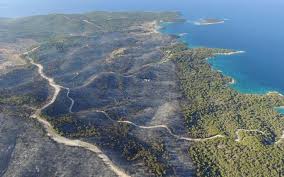 Η ΔΙΚΑΙΩΣΗ ΚΥΡΙΖΟΓΛΟΥ ΠΟΥ ΖΗΤΟΥΣΕ ΤΗΝ ΕΠΑΝΑΦΟΡΑ ΤΗΣ ΔΑΣΟΦΥΛΑΚΗΣ