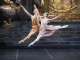 Ballet Stars Gala: Οι κορυφαίοι χορευτές του κόσμου έρχονται στο Ηρώδειο