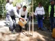 Χάρης Δούκας: Δημιουργούμε έναν μικρό πνεύμονα πρασίνου στον Βοτανικό, στόχος να φυτέψουμε 5.000 δέντρα