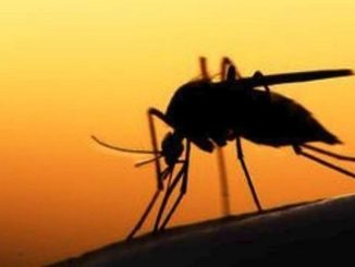 Ανοιχτό το ενδεχόμενο ταξιδιωτικής σύστασης για την Κίνα λόγω της έξαρσης των κρουσμάτων του ιού Τσικουνγκούνια