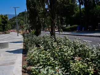 Χ. Δούκας: Η Βασιλίσσης Όλγας ξαναγίνεται ένας δρόμος που ενώνει την πόλη
