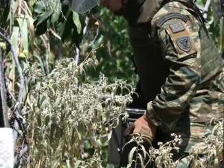 Εντοπίστηκε στρατιωτικό βλήμα στο Παλαιό Φάληρο – Κλειστή η οδός Φαιάκων από το ύψος της οδού Ηπείρου