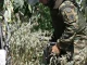 Εντοπίστηκε στρατιωτικό βλήμα στο Παλαιό Φάληρο – Κλειστή η οδός Φαιάκων από το ύψος της οδού Ηπείρου