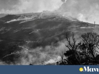 Πάτρα: φωτογραφίες των συλληφθέντων για εμπρησμό