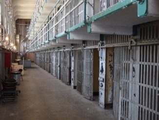 Στη φυλακή οδηγήθηκε μετά την απολογία του ο 28χρονος δράστης της άγριας δολοφονίας 47χρονης γυναίκας, έξω από το σπίτι της στο Χαλάνδρι, το πρωί της Δευτέρας 18 Αυγούστου.
