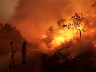 Αποκάλυψη: Μεγάλα λάθη της ΕΛ.ΑΣ. στην υπόθεση του «εμπρησμού» της Πάτρας
