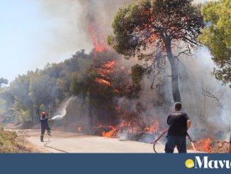 Φωτιά στην Κερατέα: Παραλείψεις στη συντήρηση του δικτύου του ΔΕΔΔΗΕ βλέπει η Πυροσβεστικη – Δυο συλλήψεις υπαλλήλων