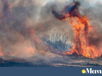 Φωτιά τώρα στην Αιτωλοακαρνανία – Επίγειες και εναέριες δυνάμεις στην κατάσβεση
