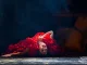 Οι σολίστ του συγκροτήματος Barcelona Flamenco Ballet παρουσιάζουν μια σύγχρονη Carmen