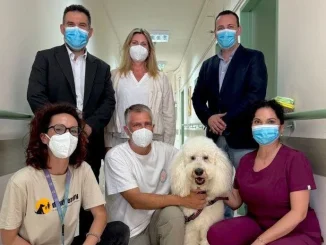 Μια πρωτοβουλία με στόχο να προσφέρει χαμόγελο, δύναμη και ανακούφιση στους ογκολογικούς ασθενείς ξεκίνησε στο Αντικαρκινικό Νοσοκομείο Πειραιά «Μεταξά». Το πρόγραμμα «Παρέα με Ουρά» φέρνει σκύλους θεραπείας στο πλευρό των ασθενών, συμβάλλοντας στη βελτίωση της ψυχολογικής τους κατάστασης κατά τη διάρκεια των θεραπειών.
