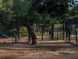 Δήμος Αθηναίων: Το Άλσος Χωροφυλακής ξανά ανοιχτό για το κοινό