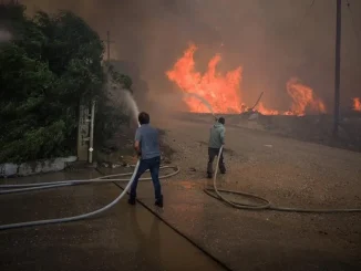Όταν καίγονται 800.000 στρέμματα στην Ελλάδα, κάποιος πρέπει να αναλάβει την ευθύνη   