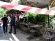 Ανακοίνωση του Δήμου Αθηναίων για την πτώση δέντρων