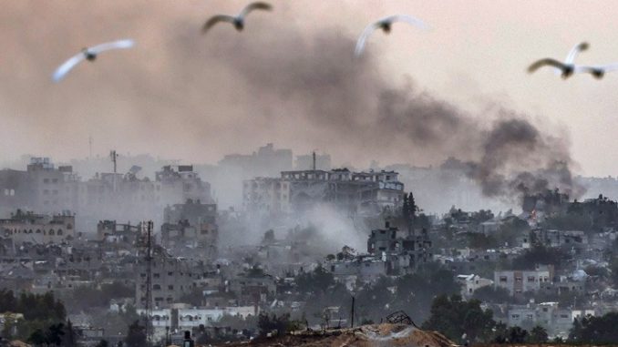 w15-82506GAZA019.jpg