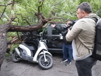 Ένας τραυματίας από πτώση δέντρου στην οδό Ε. Μπενάκη, εξαιτίας της κακοκαιρίας